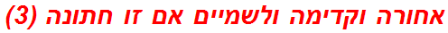 אחורה וקדימה ולשמיים אם זו חתונה (3)