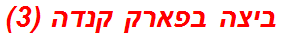 ביצה בפארק קנדה (3)