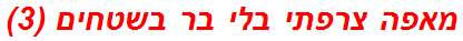 מאפה צרפתי בלי בר בשטחים (3)