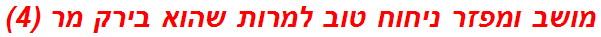 מושב ומפזר ניחוח טוב למרות שהוא בירק מר (4)