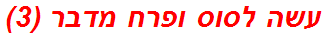 עשה לסוס ופרח מדבר (3)