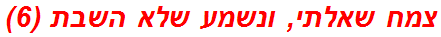 צמח שאלתי, ונשמע שלא השבת (6)