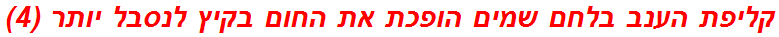 קליפת הענב בלחם שמים הופכת את החום בקיץ לנסבל יותר (4)