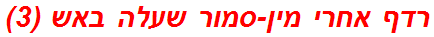 רדף אחרי מין-סמור שעלה באש (3)