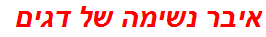 איבר נשימה של דגים