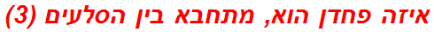 איזה פחדן הוא, מתחבא בין הסלעים (3)