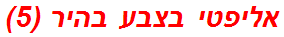 אליפטי בצבע בהיר (5)