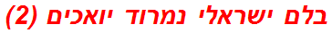 בלם ישראלי נמרוד יואכים (2)