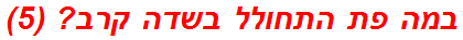 במה פת התחולל בשדה קרב? (5)