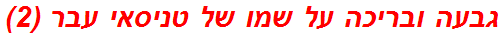 גבעה ובריכה על שמו של טניסאי עבר (2)