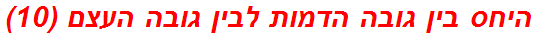 היחס בין גובה הדמות לבין גובה העצם (10)