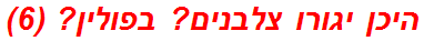 היכן יגורו צלבנים? בפולין? (6)