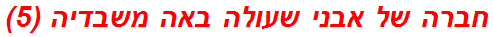 חברה של אבני שעולה באה משבדיה (5)