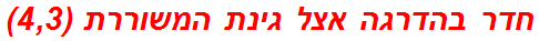 חדר בהדרגה אצל גינת המשוררת (4,3)