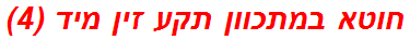 חוטא במתכוון תקע זין מיד (4)