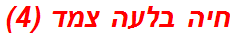 חיה בלעה צמד (4)