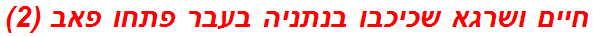 חיים ושרגא שכיכבו בנתניה בעבר פתחו פאב (2)