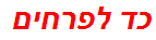 כד לפרחים