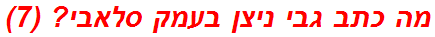 מה כתב גבי ניצן בעמק סלאבי? (7)