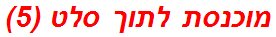 מוכנסת לתוך סלט (5)