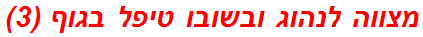 מצווה לנהוג ובשובו טיפל בגוף (3)