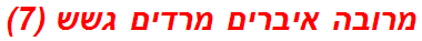 מרובה איברים מרדים גשש (7)