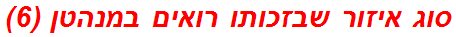 סוג איזור שבזכותו רואים במנהטן (6)