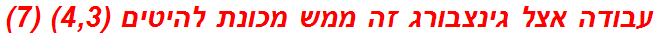 עבודה אצל גינצבורג זה ממש מכונת להיטים (4,3) (7)