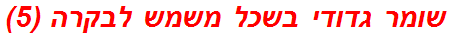 שומר גדודי בשכל משמש לבקרה (5)