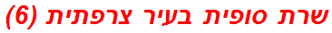 שרת סופית בעיר צרפתית (6)