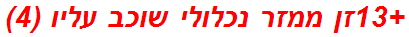 +13זן ממזר נכלולי שוכב עליו (4)