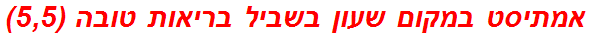 אמתיסט במקום שעון בשביל בריאות טובה (5,5)