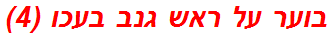 בוער על ראש גנב בעכו (4)