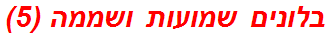 בלונים שמועות ושממה (5)