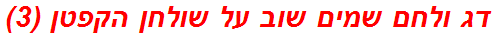 דג ולחם שמים שוב על שולחן הקפטן (3)