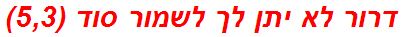 דרור לא יתן לך לשמור סוד (5,3)