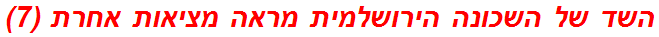 השד של השכונה הירושלמית מראה מציאות אחרת (7)