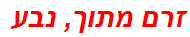 זרם מתוך, נבע