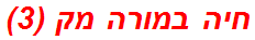 חיה במורה מק (3)