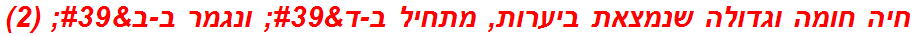 חיה חומה וגדולה שנמצאת ביערות, מתחיל ב-ד' ונגמר ב-ב' (2)