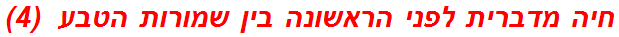 חיה מדברית לפני הראשונה בין שמורות הטבע  (4)