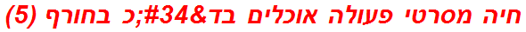 חיה מסרטי פעולה אוכלים בד"כ בחורף (5)