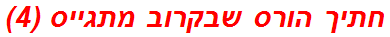 חתיך הורס שבקרוב מתגייס (4)