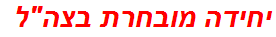 יחידה מובחרת בצהל