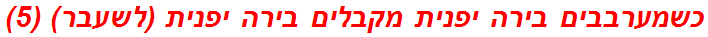 כשמערבבים בירה יפנית מקבלים בירה יפנית (לשעבר) (5)