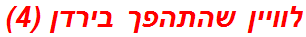 לוויין שהתהפך בירדן (4)