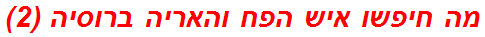 מה חיפשו איש הפח והאריה ברוסיה (2)