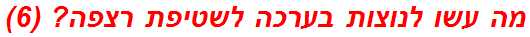 מה עשו לנוצות בערכה לשטיפת רצפה? (6)