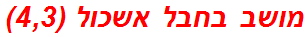 מושב בחבל אשכול (4,3)