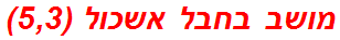 מושב בחבל אשכול (5,3)